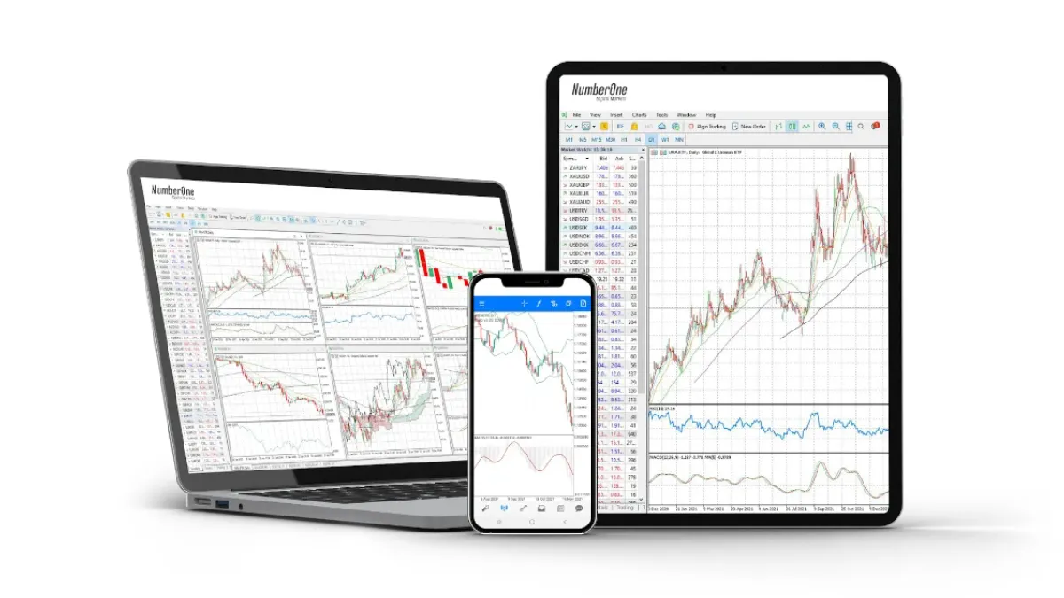 Co je Forex obchodní platforma? Nezbytné nástroje na trhu, které musí začátečník znát